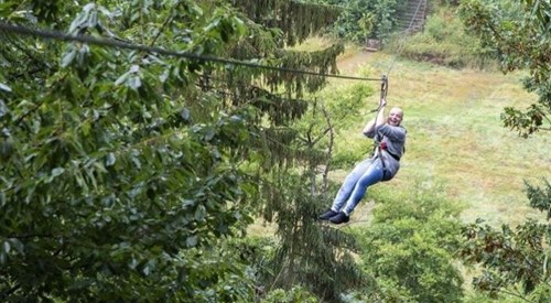 Go Ape Leeds Castle, Maidstone 2