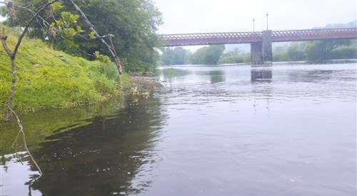 Blackwater Valley Fishery - Ballyduff Bridge 4