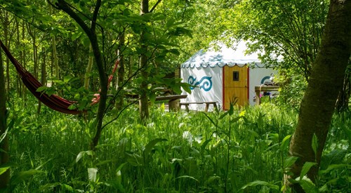 Woodland yurt (8), West Stoke