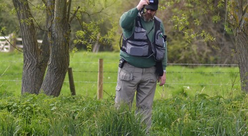 Lower Itchen Trout 2