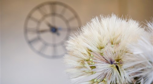 Springfield Guesthouse, Easter Ross 2