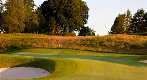 Gleneagles (The PGA Centenary), Auchterarder 1