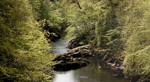 Killiecrankie, Pitlochry 4
