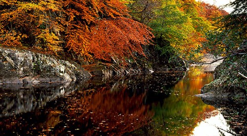 Killiecrankie, Pitlochry