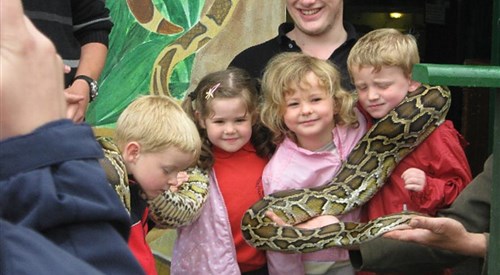 Animalarium, Borth 3
