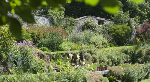 Acorn Bank Garden, Penrith 4