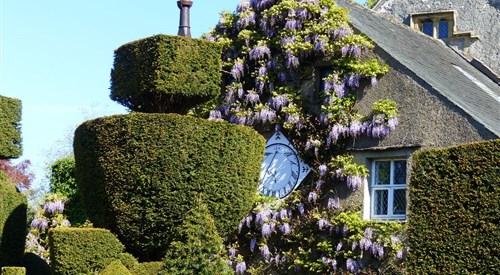 Levens Hall, Kendal 4