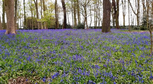 Renishaw Hall, Sheffield 3