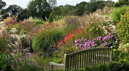 Burrow Farm Gardens, Axminster 2