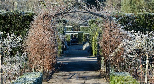 RHS Garden Rosemoor, Great Torrington 1