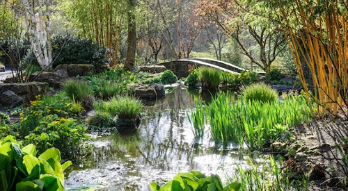 RHS Garden Rosemoor, Great Torrington 2