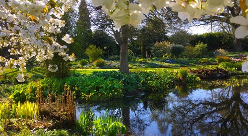 The Beth Chatto Gardens, Colchester 1
