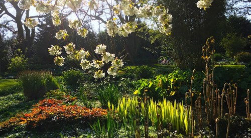 The Beth Chatto Gardens, Colchester 4