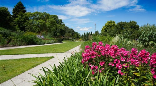Sir Harold Hillier Gardens, Romsey 4