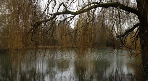 The Vyne, Basingstoke 4
