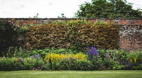 Belmont Gardens, Faversham