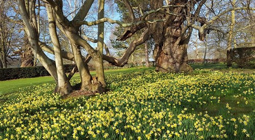 Goodnestone Park Gardens, Canterbury