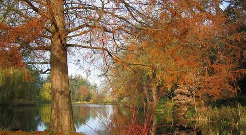 Mount Ephraim Country House & Gardens, Faversham 2