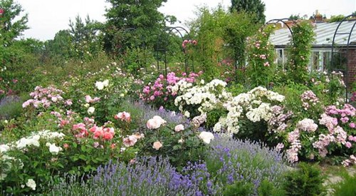 Mount Ephraim Country House & Gardens, Faversham 4