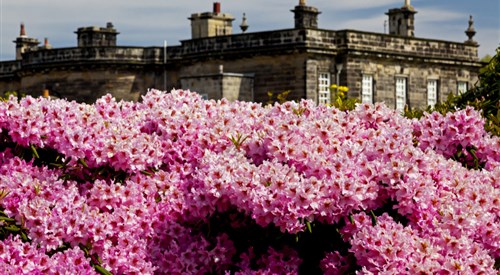 Seaton Delaval Hall, Whitley Bay 3