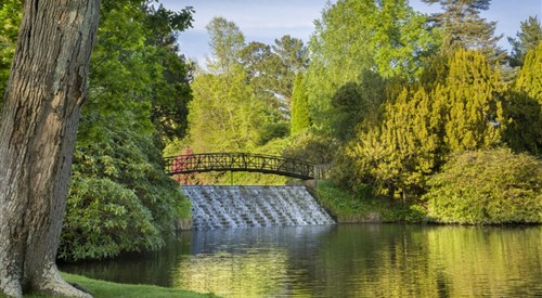 Sheffield Park & Garden, Uckfield 1