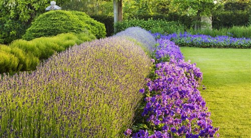 Nymans, Haywards Heath