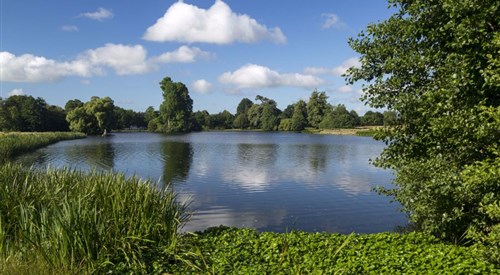 Petworth House & Park 2