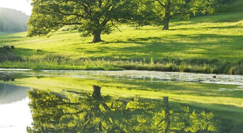 Stourhead, Warminster 3