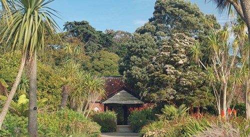 Logan Botanic Garden, Stranraer 2