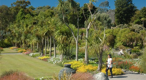 Logan Botanic Garden, Stranraer 1