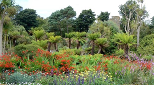Logan Botanic Garden, Stranraer 3