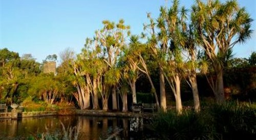 Logan Botanic Garden, Stranraer 3