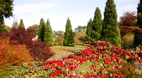 Falkland Palace & Garden, Cupar