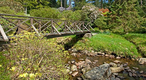 Crarae Garden, Inveraray 3