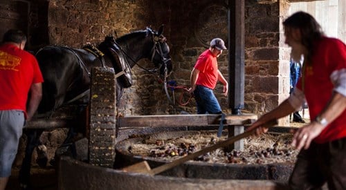 Hamptonne Country Life Museum, St Lawrence 2