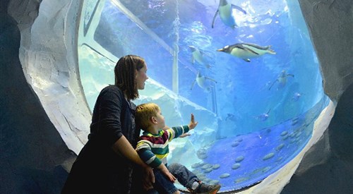Birmingham SEA LIFE Centre 4