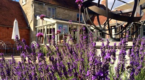 The Mole Inn, Oxford