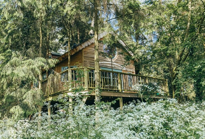 Treehouses at West Lexham photo 3