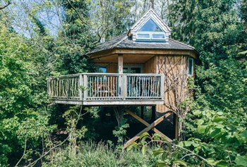 Treehouses at West Lexham photo 4