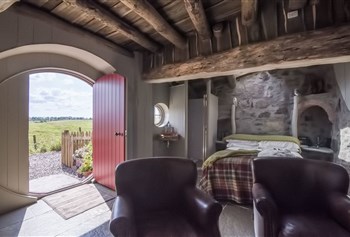 The Burrow photo 5