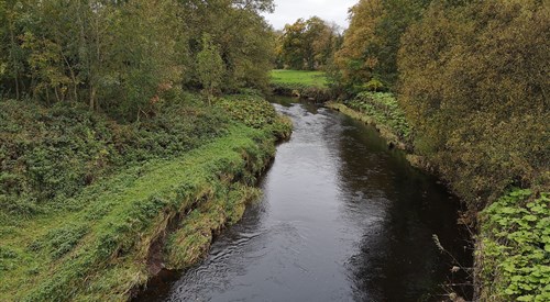 Agivey River 2