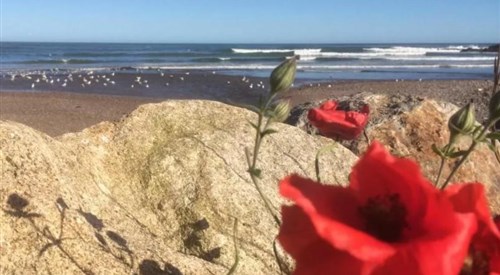 Arduthie House, Stonehaven 2