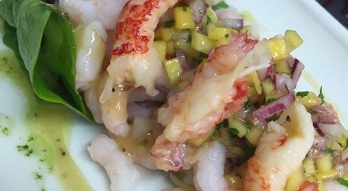 Plas Tan-Yr-Allt Historic Country House B&B, Gwynedd 1