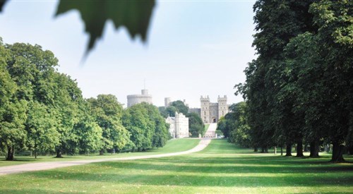 Royal Adelaide Hotel, Windsor 2