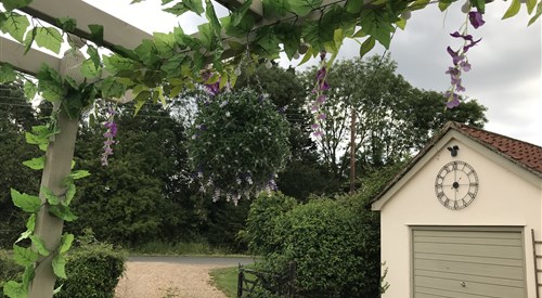 Old Thatch Bambers Green, Takeley 4