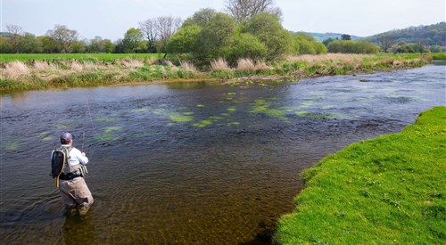 Llandysul Angling Association 3