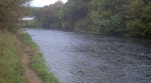 Dormont, Annan 3