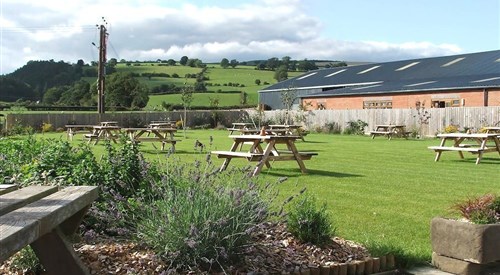 The Lowfield Inn, Welshpool 1