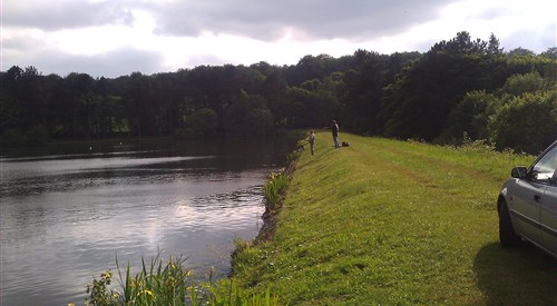 Wharncliffe Fly Fishery, Reservoir 4