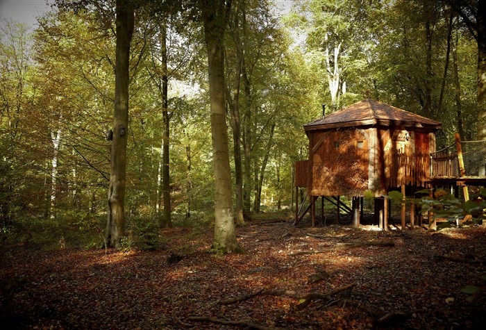 Forest Holidays, Sherwood Forest photo 5